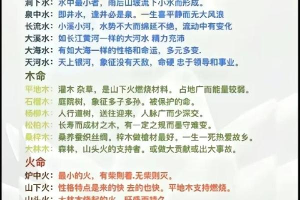 土命与火命共创商机：如何选择合适的生意项目？