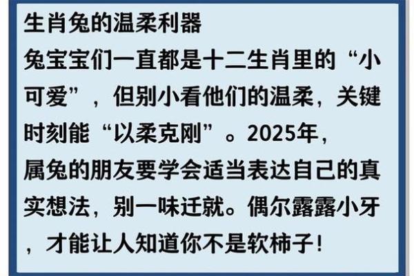 探索命运的奥秘:解读不同生肖与出生日期的命理特征 探索命运的奥秘:解读不同生肖与出生日期的命理特征