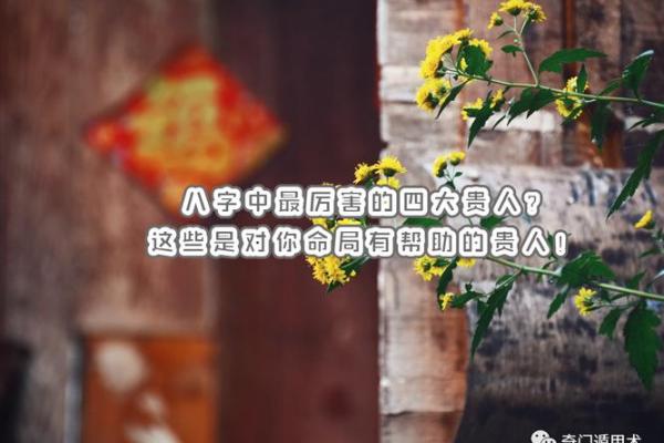 斗牛者：性格与命格的深度剖析