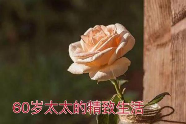 60岁的人生智慧：如何享受生活的每一天