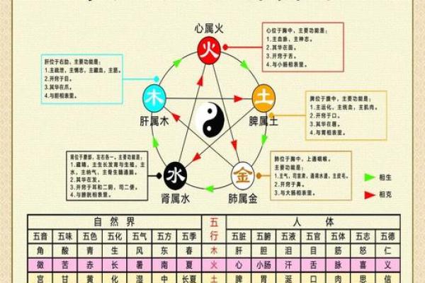 探索五行命理：金木水火土的相生相克之道