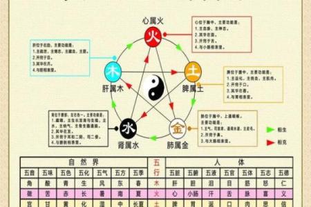探索五行命理：金木水火土的相生相克之道