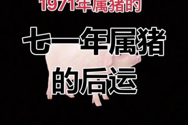 1934年属猪：了解这个年份的命运与性格特色