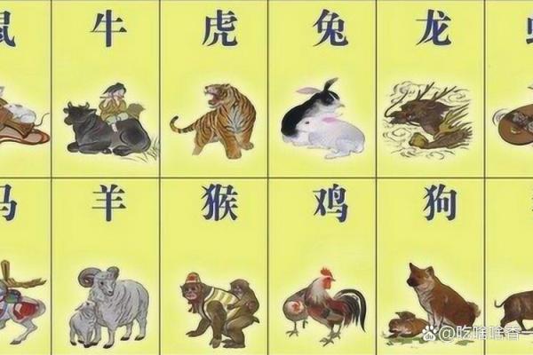 探秘1962年出生者的生肖运势与人生轨迹