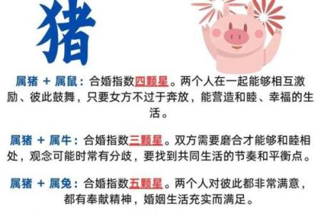 2022年属猪人士的星宿命理解析：命运的旅程与转变