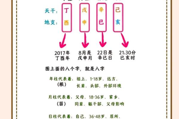 1981年命理解读：揭示你的生命缺失与补救之道
