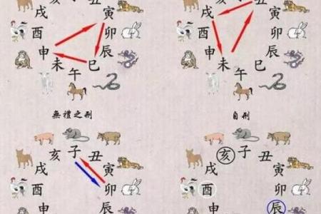 1995年猪火命与其他命理的完美搭配探讨