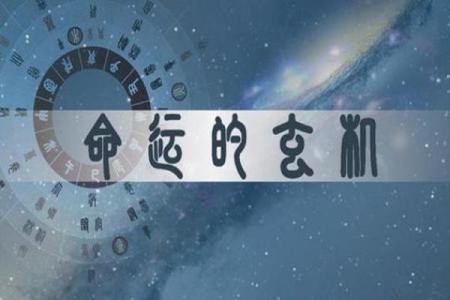揭开命理的神秘面纱：十二种属性与命运的深刻联系
