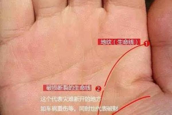 手相中的半圆：揭示命理背后的神秘密码