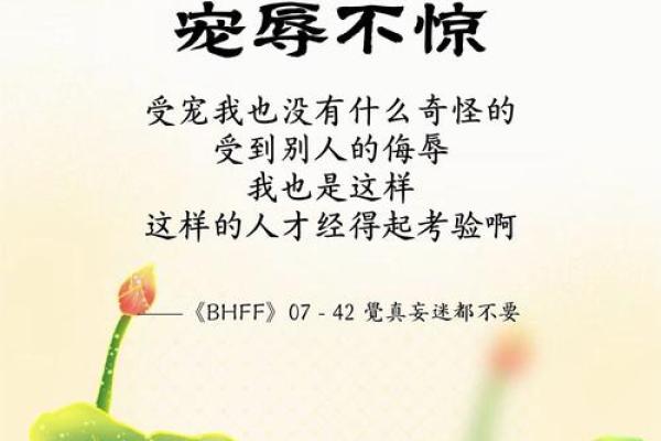 救一命死一命：看似矛盾的生命哲学碰撞