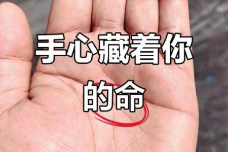手掌放平，命运的秘密与人生的启示