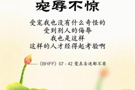 救一命死一命：看似矛盾的生命哲学碰撞