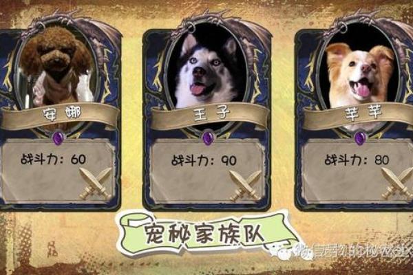 71年属狗人的命运解析：性格、事业与生活的秘密
