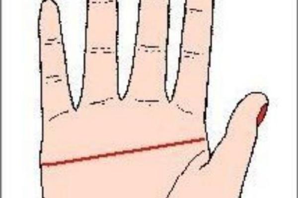 为何女人断掌命运不佳？揭秘手相与人生的秘密