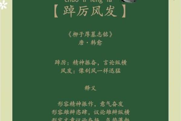 「随风而行，勇往直前：人生中的成语智慧」