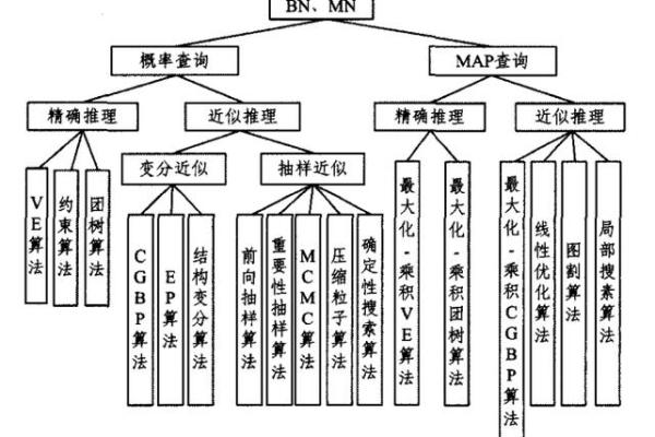 如何影响生儿子概率的因素探讨：解密传统与科学的结合