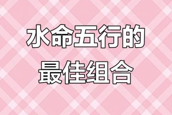 木命与水命的结合：适合的事业与发展方向