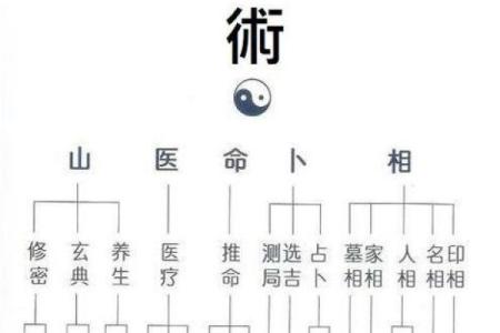 揭秘算命秘诀：如何准确识别命运之道！