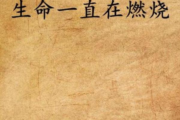 炉中火命格解析:燃烧生命的热情与智慧 炉中火命格解析:燃烧生命的热情与智慧