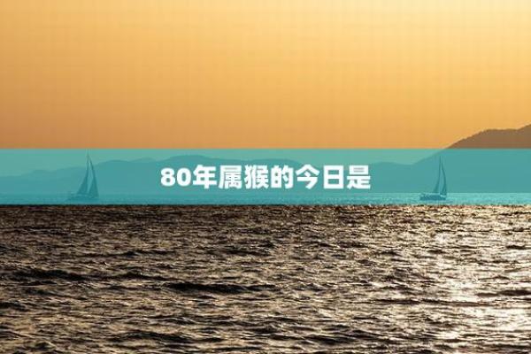 1980年出生的人：属猴命的性格与人生轨迹解析