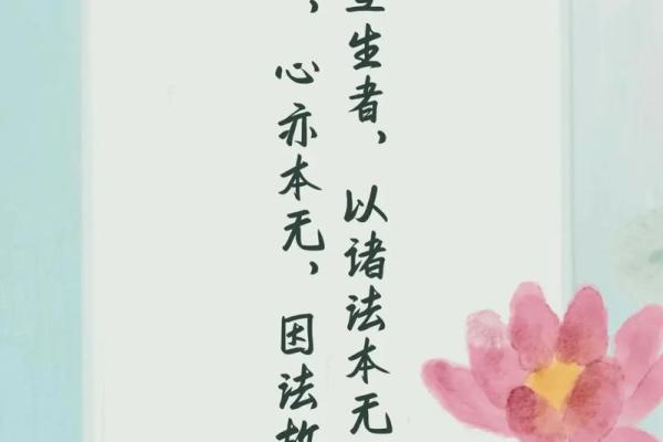 1981年鸡命的命理解析与人生建议：寻找缺失的平衡之道