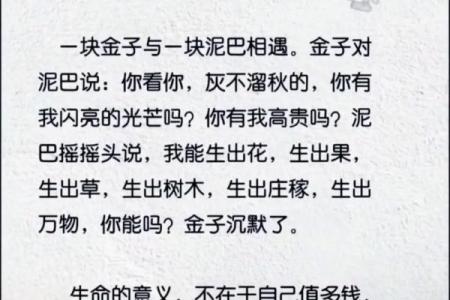 人生最贵的是什么？生命、时间与爱的价值探讨