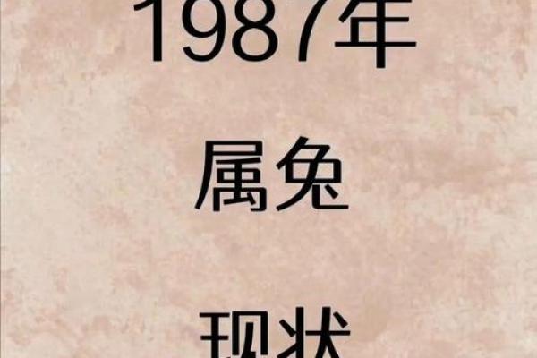 1987年10月22日,命理中的神秘启示与人生轨迹探秘 1987年10月22日,命理中的神秘启示与人生轨迹探秘