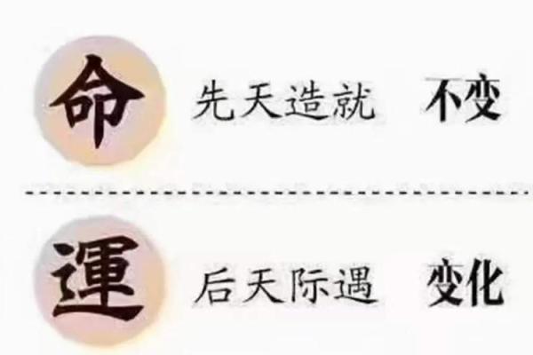 揭秘挣钱命与赔钱命：八字命理对财富的影响