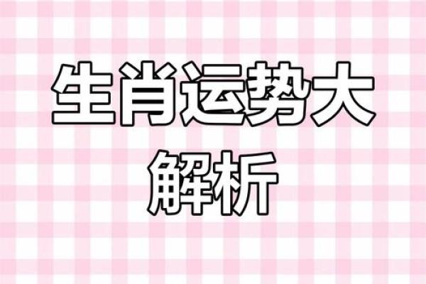 属相与命运的奥秘：探索十二生肖的不同人生轨迹
