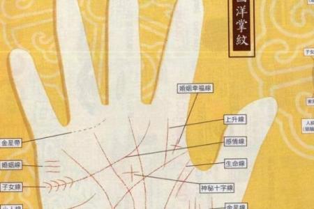 手相解析：旺夫命与好运命的秘密与特征