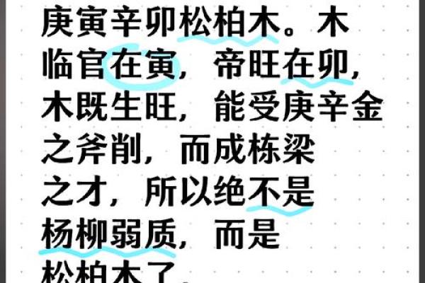 松柏木象征着长寿与坚韧，背后的深意你知道吗？