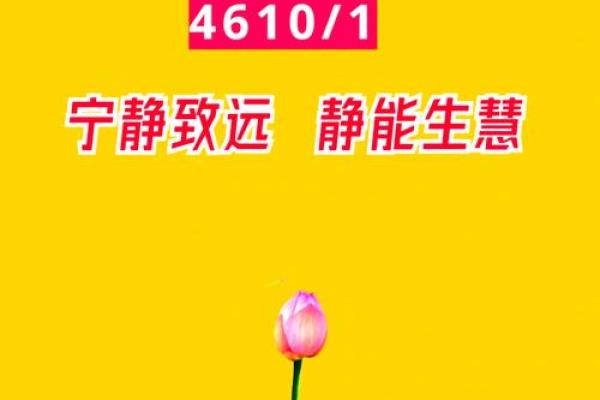 什么是慧命？探寻生命的智慧与意义之旅