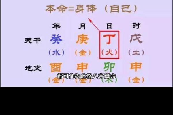 命格解析：甲木之命的含义与人生启示