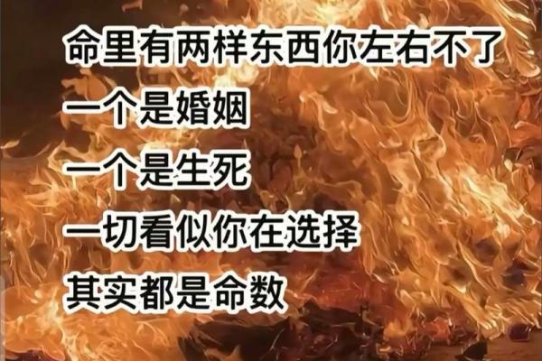 探讨一命换命的方法：超越生死的边界与希望的火花