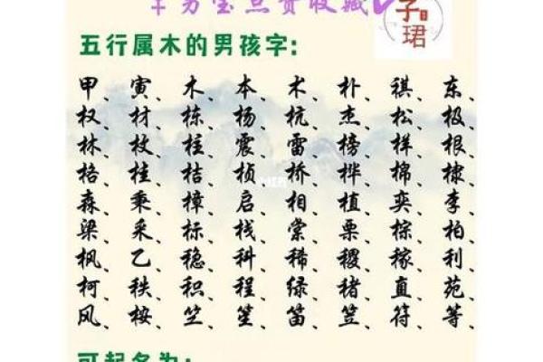 木命人如何找到最佳命理搭档，助其成就理想人生