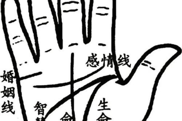 车牌命理数揭秘:你还不知道的命运密码! 车牌命理数揭秘:你还不知道的命运密码!