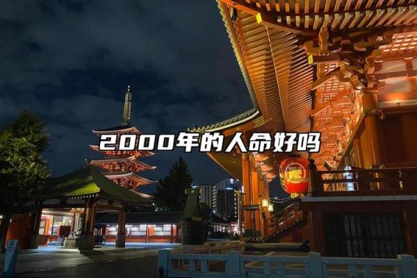 探寻1995年2月11日出生者的命运与性格魅力