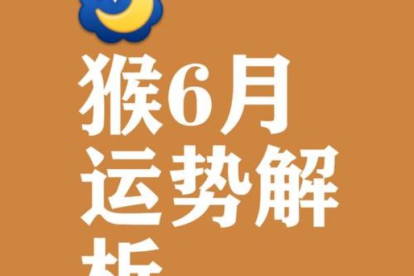 猴年出生酉时人命运解析：聪明活泼却需谨慎行事
