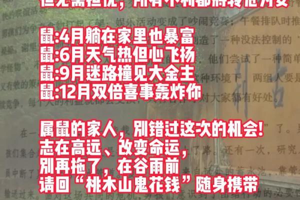 揭秘72年老鼠的命运与人生：你知道吗？