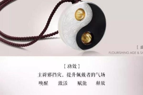 两命与零命：命运中的秘辛与探索