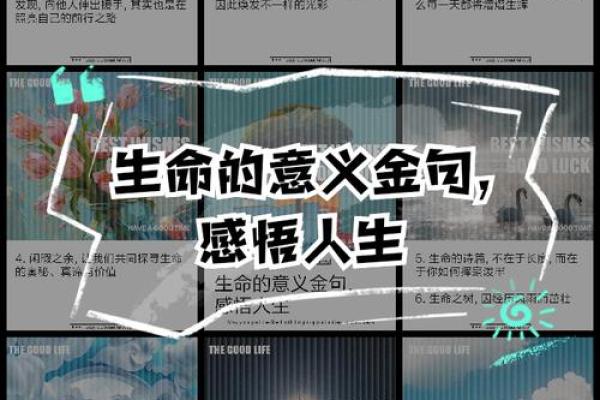 揭开2000年龙男命运的神秘面纱,探索人生之路的奥秘 揭开2000年龙男命运的神秘面纱,探索人生之路的奥秘