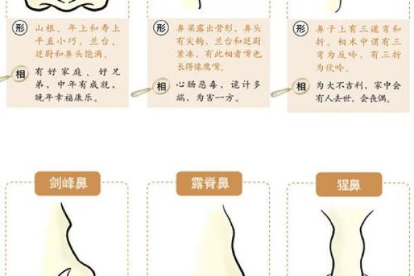 探寻命理：面相凶煞之人的命运解析与转运之道