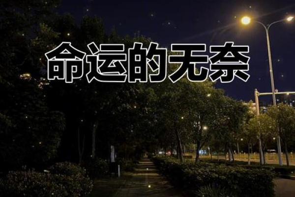 命里无缘：如何面对命运的无常与孤独感