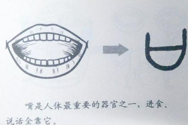 探索汉字的美丽：构造与偏旁的奥秘