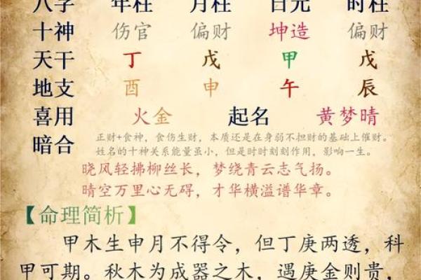 探讨木命之人适合学习的专业与发展方向