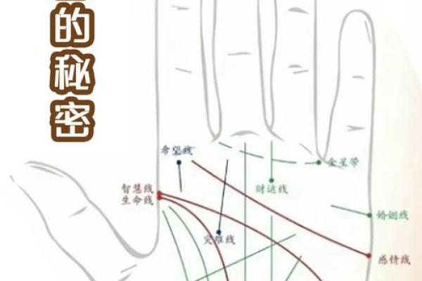 手腕几条线，命运的秘钥，揭开手掌相学的神秘面纱