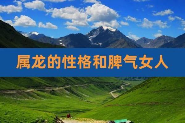 1988年属鸡的命运解析：性格、事业与爱情的多维探讨