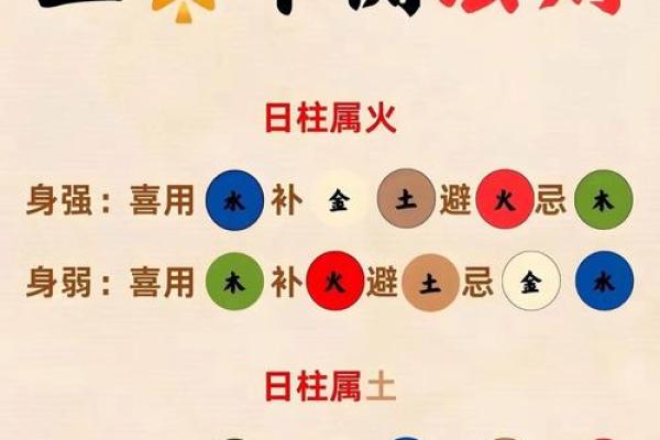88年土龙命与五行命理的最佳配对探讨