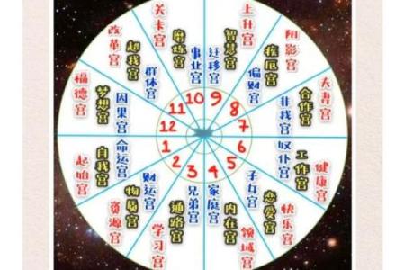 47岁属什么命，解读2023年运势与人生智慧