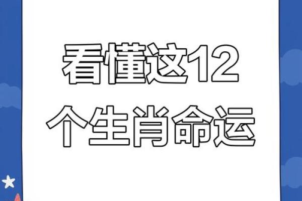 2019年兔年命理解析：了解你的生肖与人生机遇